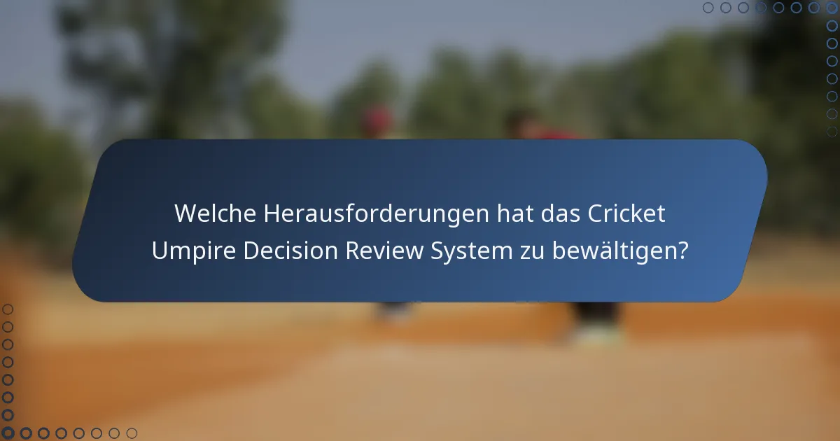 Welche Herausforderungen hat das Cricket Umpire Decision Review System zu bewältigen?