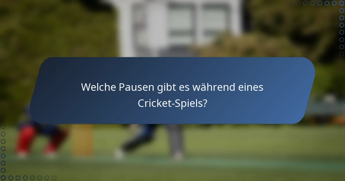 Welche Pausen gibt es während eines Cricket-Spiels?