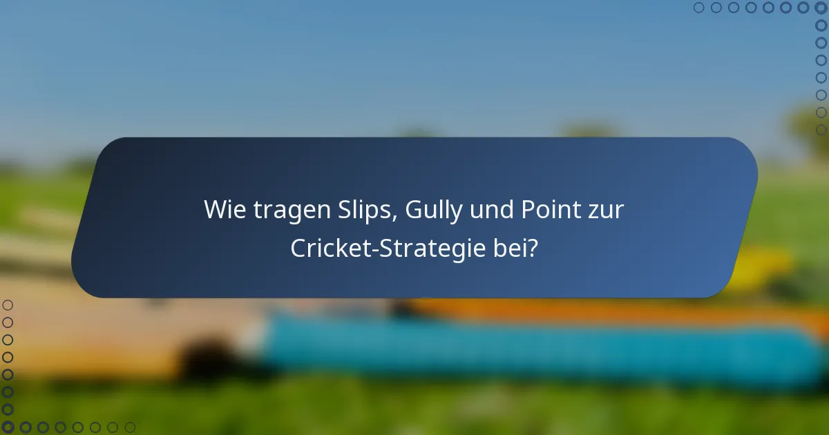Wie tragen Slips, Gully und Point zur Cricket-Strategie bei?
